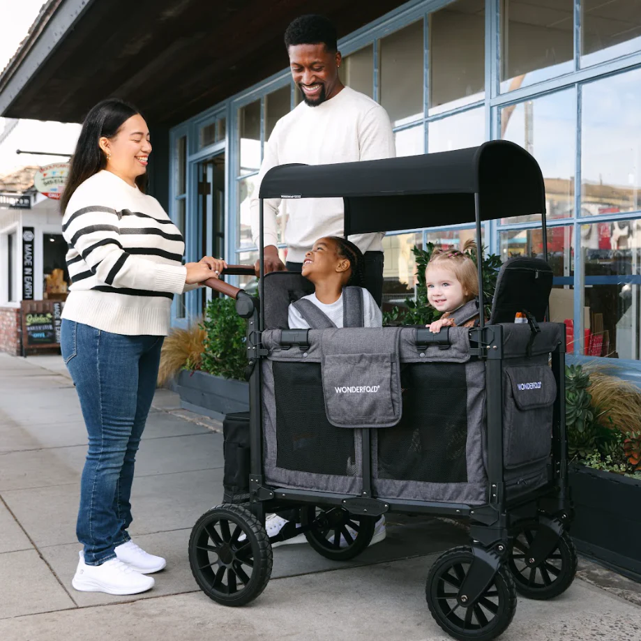 Open Box W2 Luxe Pro Double Seater Stroller Wagon (2 Seater) (Final Sale) - Image 2